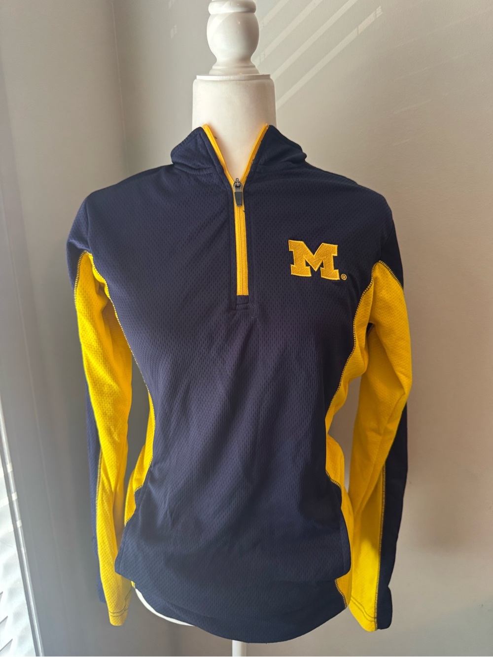 University of Michigan Champion Pullover